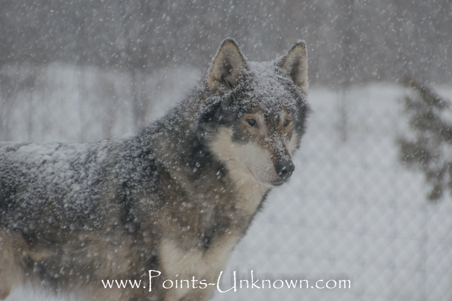 Arrow, Points Unknown