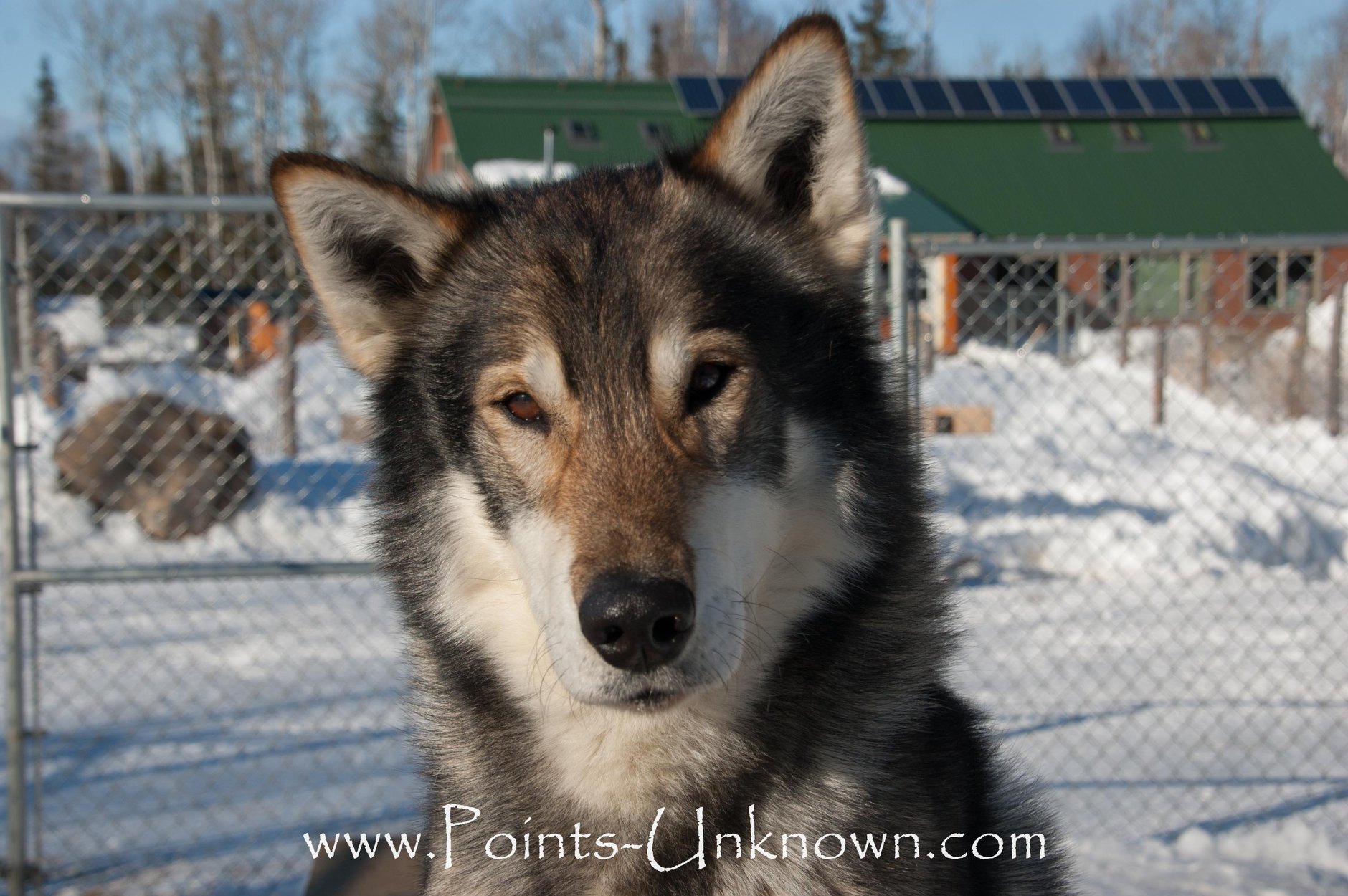 Arrow, Points Unknown