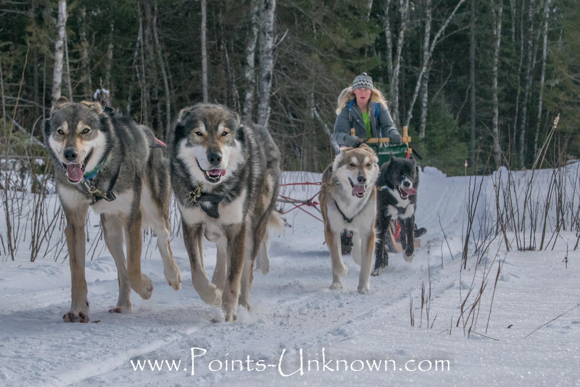 Arrow, Points Unknown