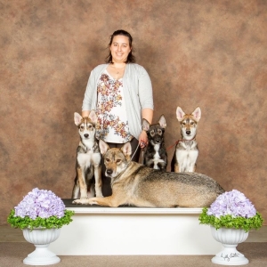 Winter Tarheel, Kelly standin in front of a background, Clara laying on a platform, Loki standing paws up on the left of the platform, Sassenach center, and Kiba right. flanked by folowers
