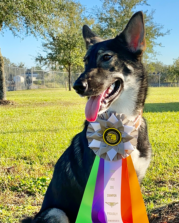 10 Testing & Evaluations