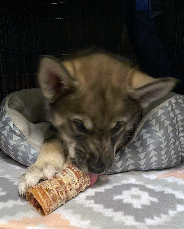 03 Madcap University